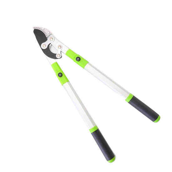 branch loppers
