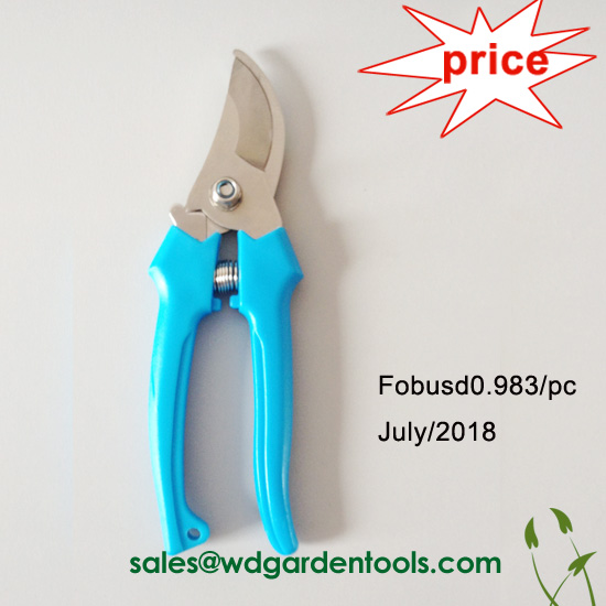 Garden pruning