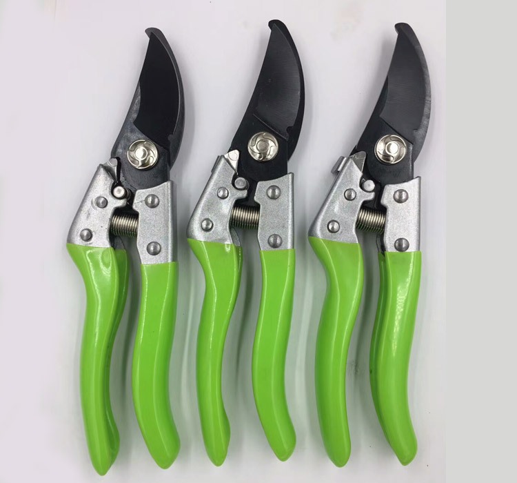 Traditional bypass pruner shears