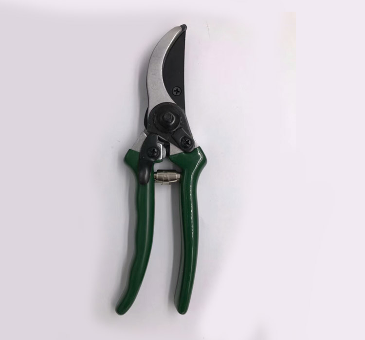 simple prunering shear with lock